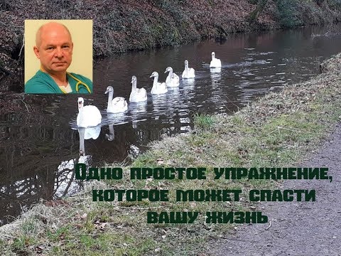 Видео: Упражнения, которые вы можете выполнять во время дальних перелетов, не выглядя как чудак