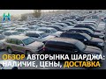 Обзор авторынка Шарджа (Дубай): цены, какие авто в продаже и как доставляют автомобили в ОАЭ