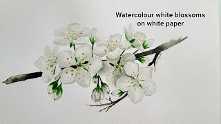 How to paint white flowers on white paper/ watercolour white blossoms