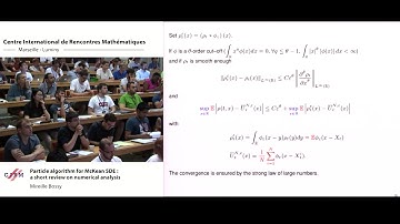 Mireille Bossy:  Particle algorithm for McKean SDE : a short review on numerical analysis