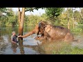 A Day with Chaichana the Elephant - Piano for Elephants Behind-the-Scenes