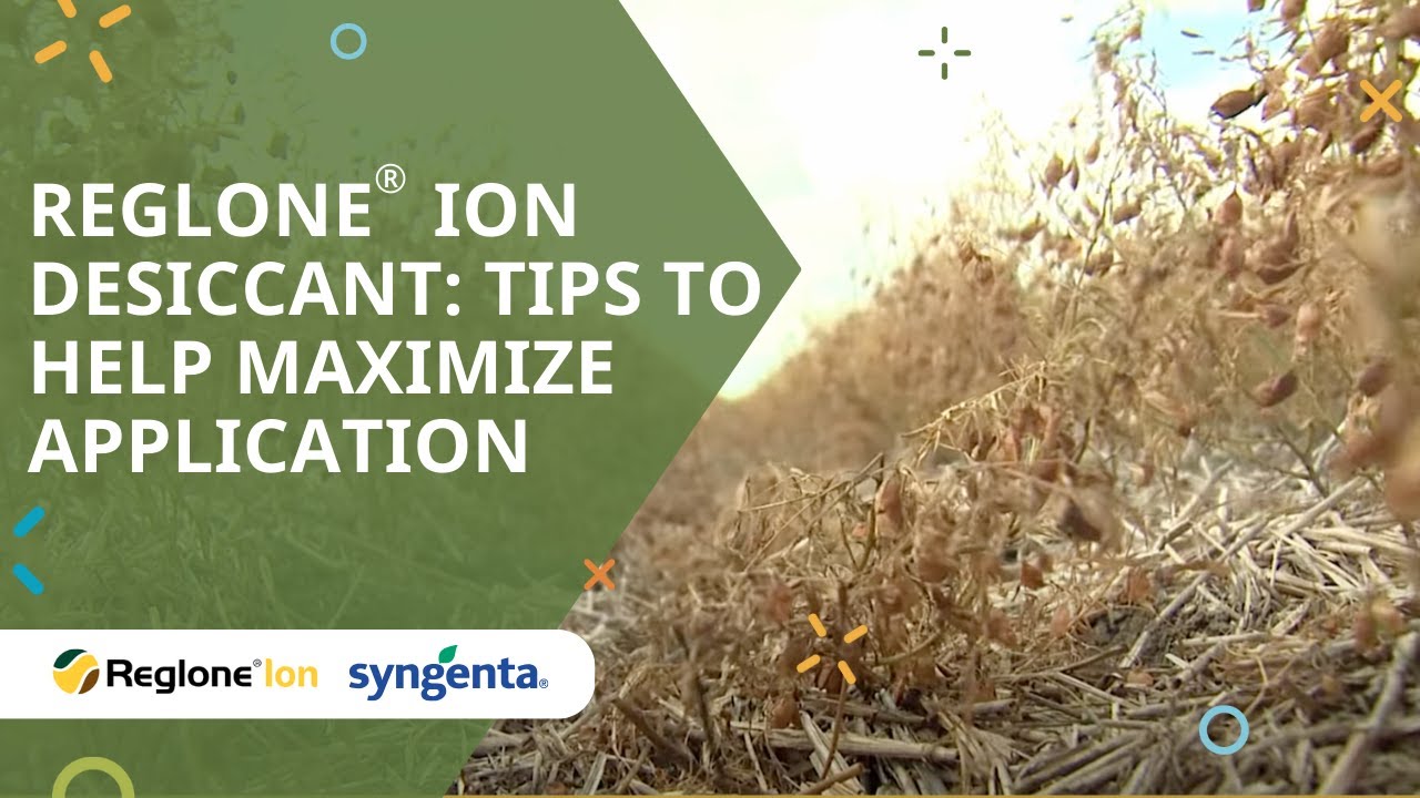 Reglone Ion desiccant: Tips to help maximize application