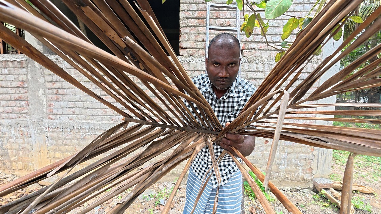 ASMR / DRY COCONUT LEAVES CRISP NATURAL CRINKLES SOUNDS.