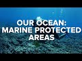 OUR OCEAN MARINE PROTECTED AREAS Ocean Conservation 3 Conservation International Singapore