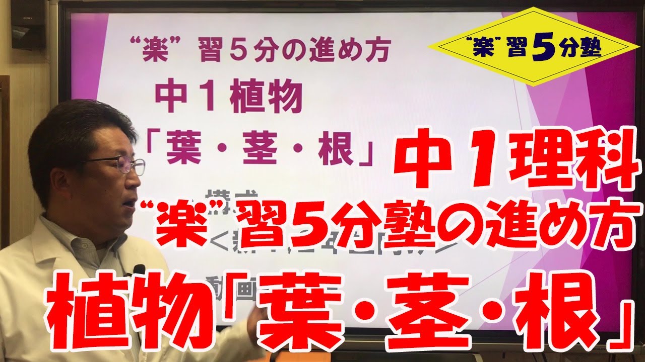 中１理科 植物 葉 茎 根 まとめ 新中学１年生向け 楽 習５分塾の進め方 Youtube