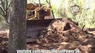 CAT D7 PUSHING DOWN TREES!!! PART 2