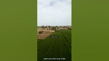 بلدة أبو حمام في ريف دير الزور الشرقي جزيرة مع موال حزين بصوت الفنان نمر الدوري 