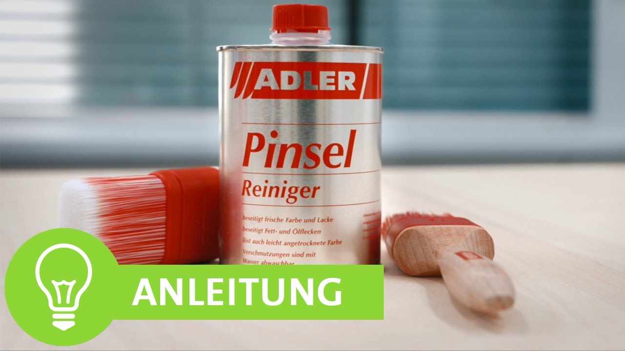 Pinselreiniger - So werden deine Pinsel wieder sauber