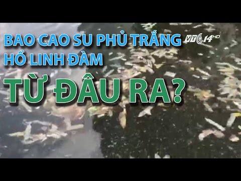 Video (VTC14)_Bao cao su phủ trắng hồ Linh Đàm (Hà Nội) từ... - youtube