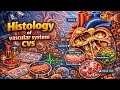 Histology of Vascular system CVS