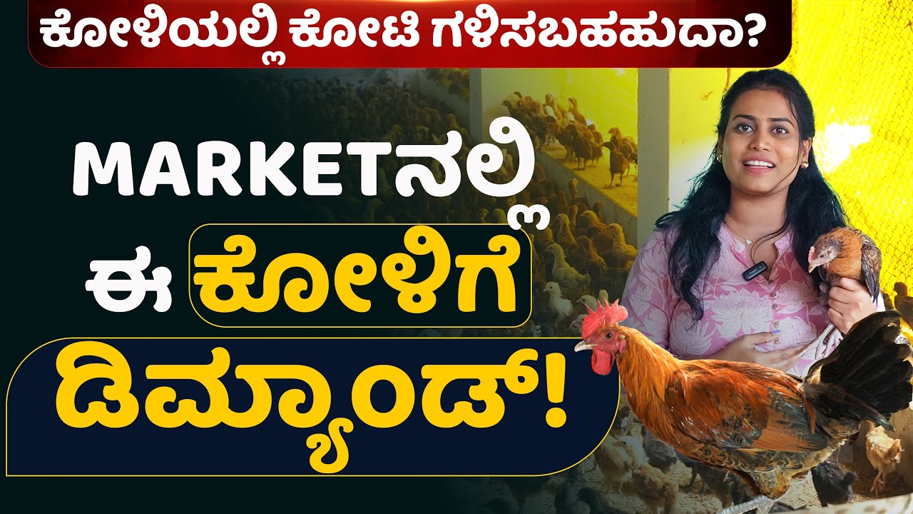 MARKETನಲ್ಲಿ ಈ ಕೋಳಿಗೆ ಡಿಮ್ಯಾಂಡ್!ಕೋಳಿಯಲ್ಲಿ ಕೋಟಿ ಗಳಿಸಬಹಹುದಾ#poultryfarming #sonali #poultryinkarnataka