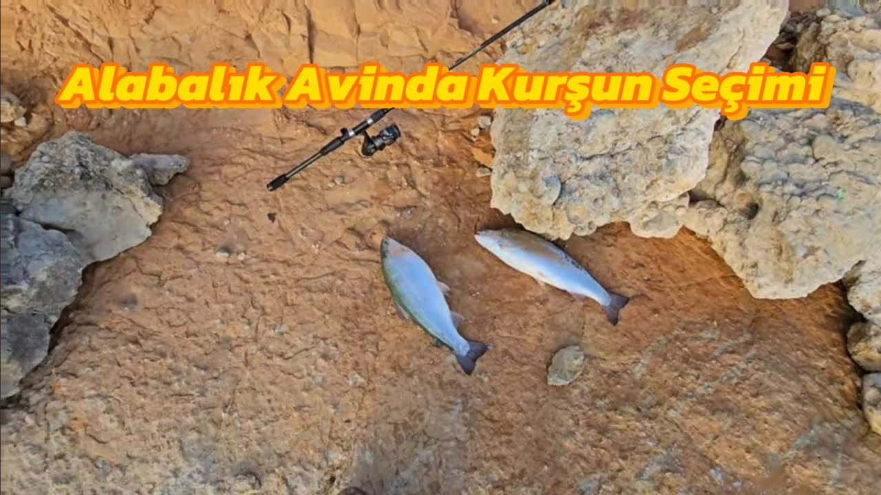 Trofelerle Dolu Alabalık Avı.