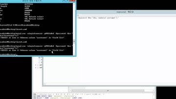 MySQL(MariaDB) Stored Procedure run in batch script - insert data, Run windows command line