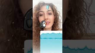 Doğru Yolu Buldu Şfet