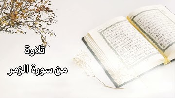 تلاوة من سورة الزمر