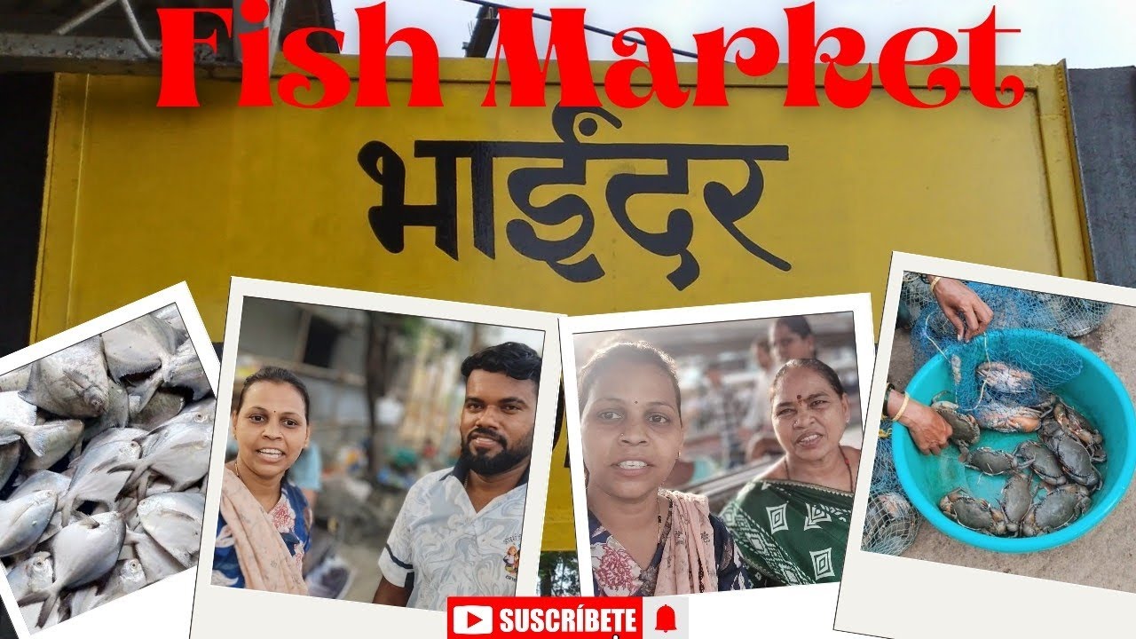 भाईंदर मच्छी मार्केटला गेलो आणि तिथे आकाश भोईर यूट्यूबरशी भेट झाली #Vlog no13 #Bhayanderfishmarket