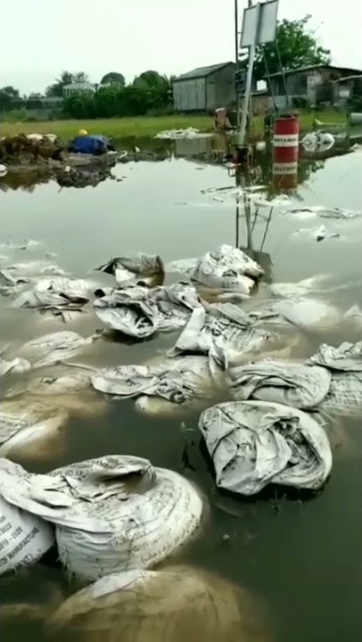 Gak Semua Bos Menghargai amekerjaan Kalian 🙏🙏☺