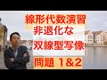 線形代数・非退化な双線型写像・前半