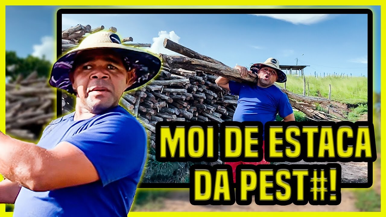 GALO CEGO PEGOU UMA OIA 😂| GALO CEGO