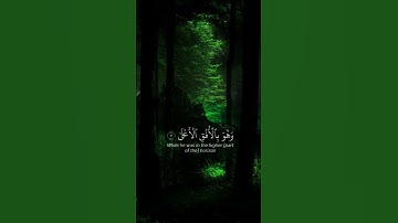 اذكر الله | سورة النجم الاية ١-١٥ القارئ ياسرالدوسري #قرآن #اكتب_شي_توجر_عليه #ياسرالدوسري