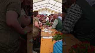 Die Edlseer - Hutlied
