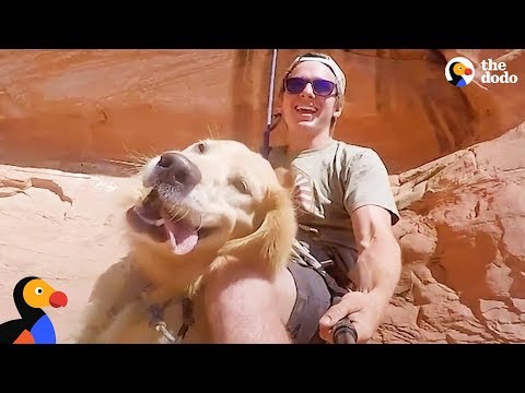 Video: Hjärtbrytande berättelse om en man och hans äventyrsbuddy, booter hunden