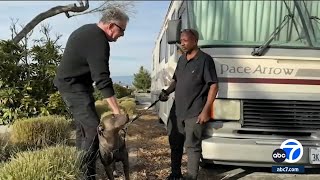Good Samaritan helps SoCal homeless man and his dog get back on their feet