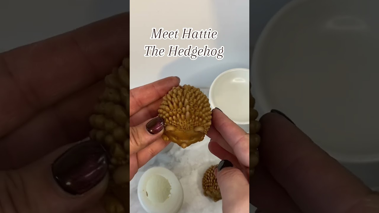 How adorable is Hattie the Hedgehog?! 🦔😍 