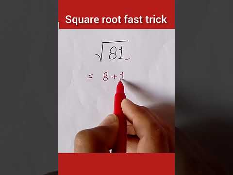    81    