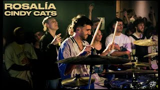 CINDY CATS - ROSALÍA | .AR #1