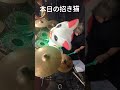 本日の招き猫 電飾王 REBECCA 結接蘭 破接蘭(KE-SE-RUN PA-SE-RUN) レベッカ
