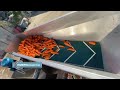 Линия паровой очистки моркови, свеклы и картофеля / ООО «Кубаньпищепром»
