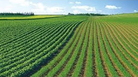 Seed Treatment Encompass from Talc USA