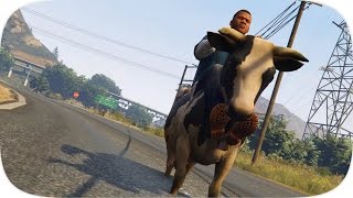 Gta V Random Funny Moments