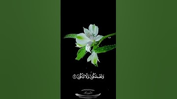 صباح الخير 🍃 اجمل حالات واتس اب مقاطع قصيره🌱 قران كريم سورة النجم افمن هذا الحديث تعجبون🍃 بدون حقوق