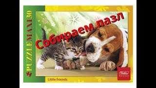 Собираем пазл собачка и котенок Собираем пазл собачка и котенок