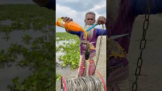 Traditional fishing idea in river jungle  #fishing  #reels  #youtubeshorts