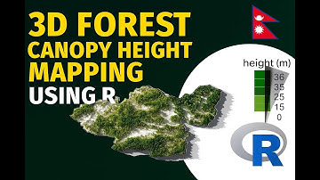 3D Canopy Height Mapping using forestdata package in R