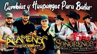 Los Alameños De La Sierra MEGA MIX - Sonoreños Del Compa 🤠 Cumbias y Huapangos Para Bailar