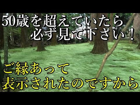 ※超強力⚠️神様からの優しさあふれるメッセージを頂きました！ご縁を必ず結んで下さい【兵庫県朝来市山東町粟鹿 粟鹿神社】