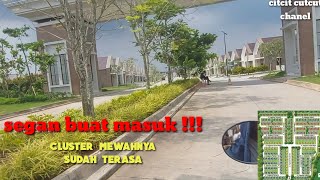 update pembangunan cluster premium kota podomoro tenjo cluster angsana, citrus dan ruko afara