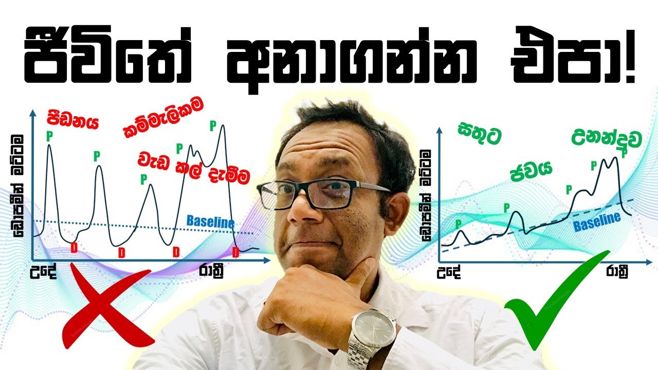 ජවබල සම්පන්න සතුටු දිනයකට මග තියෙන්නේ පුංචි විද්‍යාත්මක රහසක් ඇතුලේ!