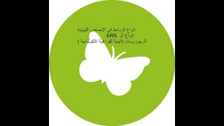 الريبوزومات / ARNانواع الروابط على مستوى الاحماض الامينية /انواع ال