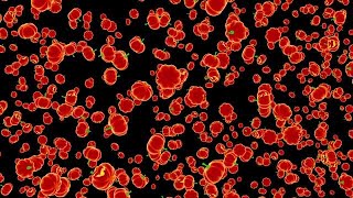 Falling Halloween Pumpkins Stock Motion Graphics