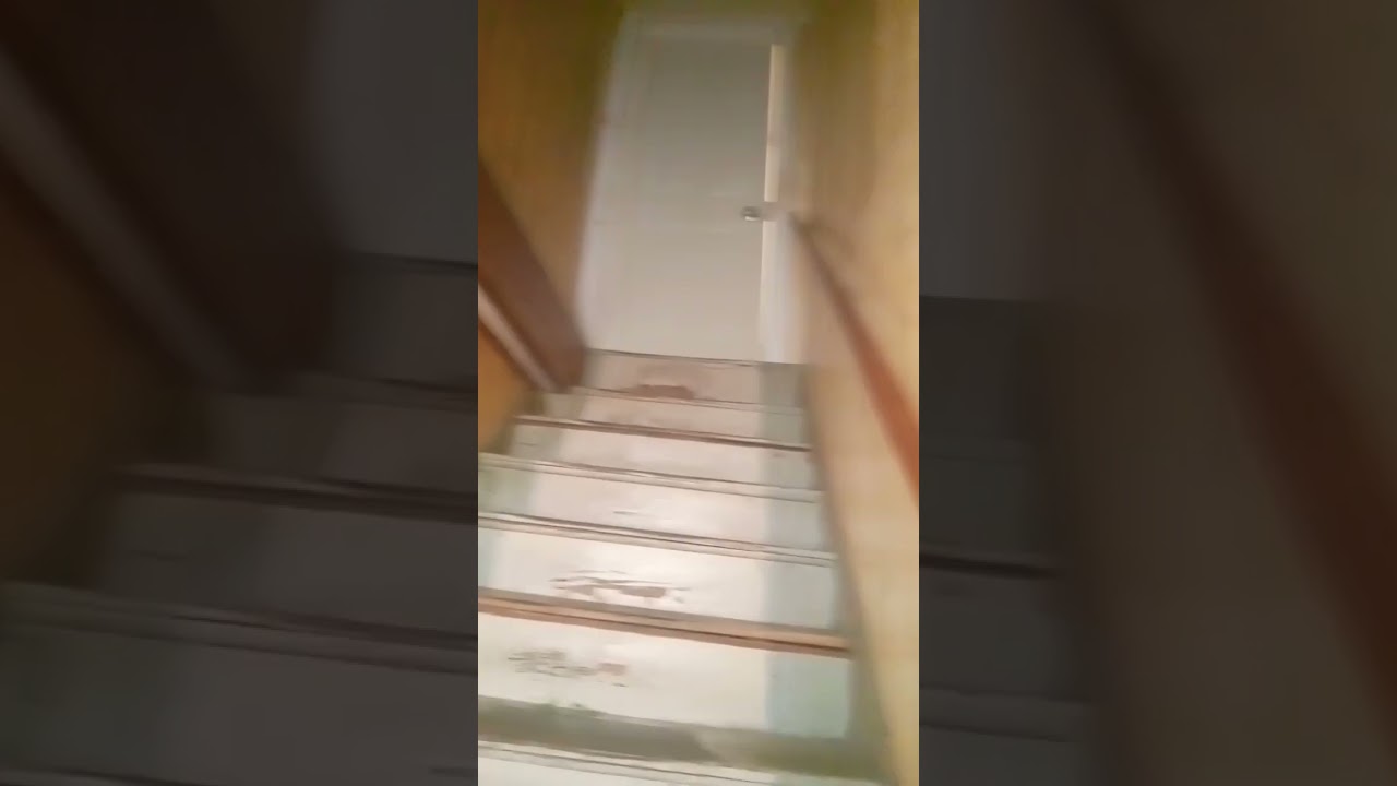 max,rapture (I will miss rapture)and katana (katana is a cat,not a actually katana)