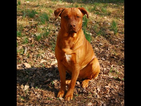 زندگی کوپر ۲۰۰۸ ۲۰۲۳