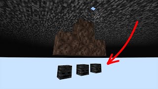 what if you spawn wither in the void