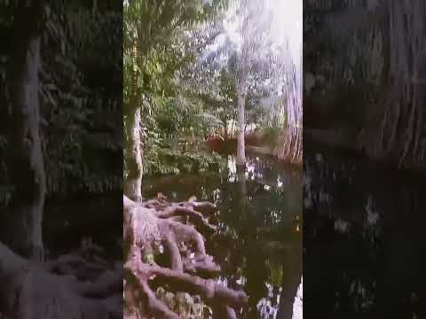 PLONG gitu pikiran. Kaya gak punya utang, pak. Kalo di empang. Beneran, pak....