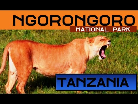 Ngorongoro Crater#Africa#Tanzania#Amazing place for wildlife II An over view II Short Documentary