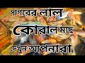 Fishing video sagor er mac kivabe dora hoy fishing content ফিশিং ভিডিও সাগরের মাছ কি ভাবে ধরা হয় 😲🐠